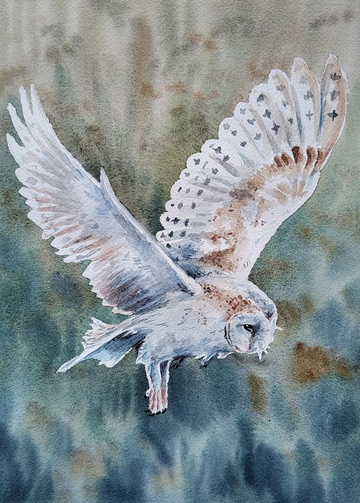 Akvarell Tornuggla av Tove Y