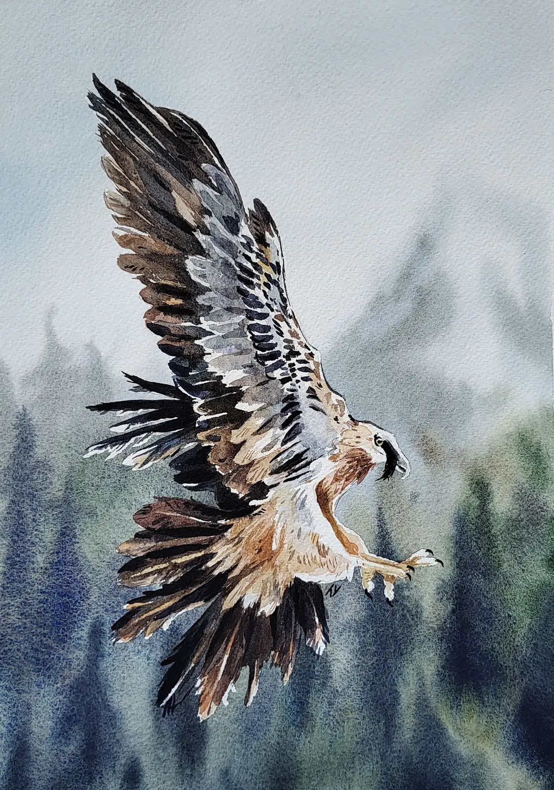 Akvarell Lammgam av Tove Y