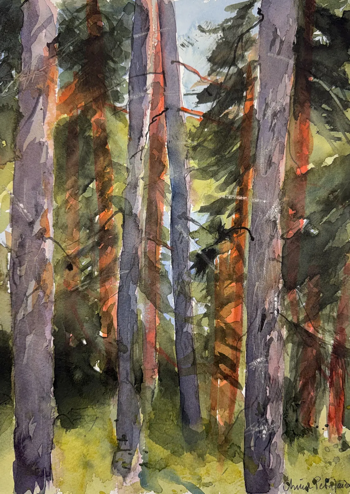 Akvarell Kvällssol av Minna Petäjäniemi