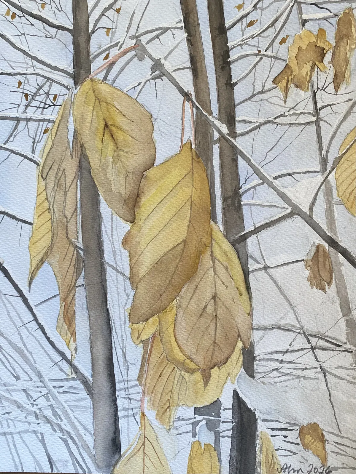 Akvarell Vinterlöv av Göran von Ahn