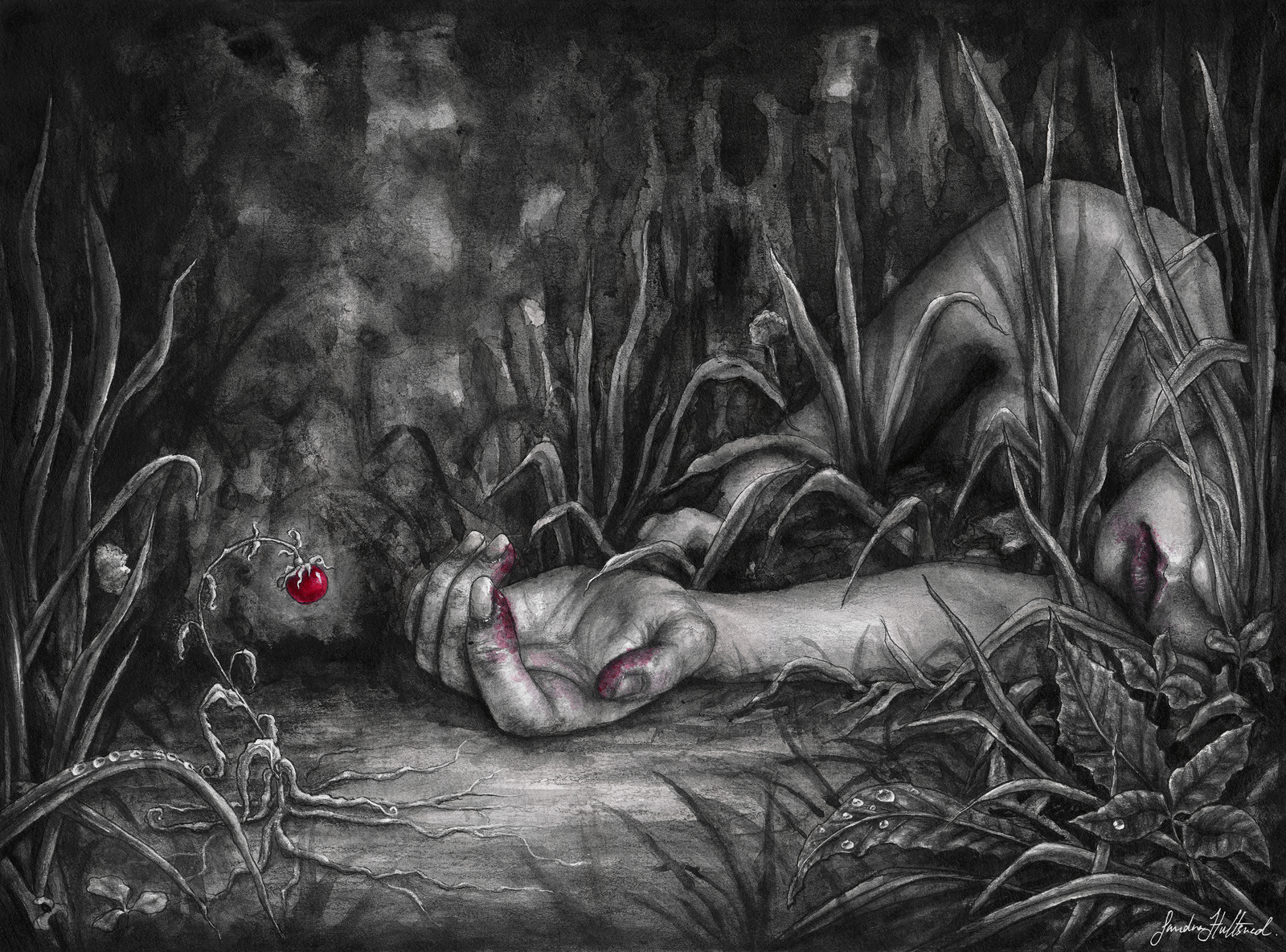 Where the most beautiful dies av Sandra Hultsved