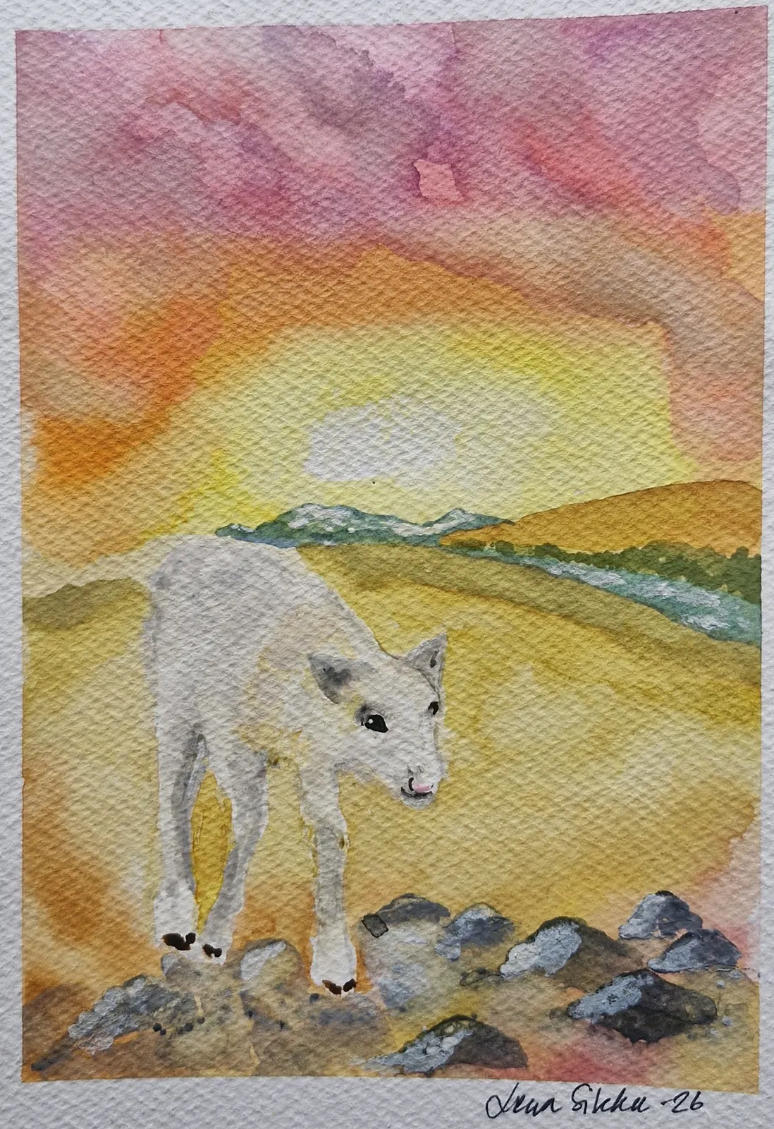 Akvarell Miessi av Lena Sikku