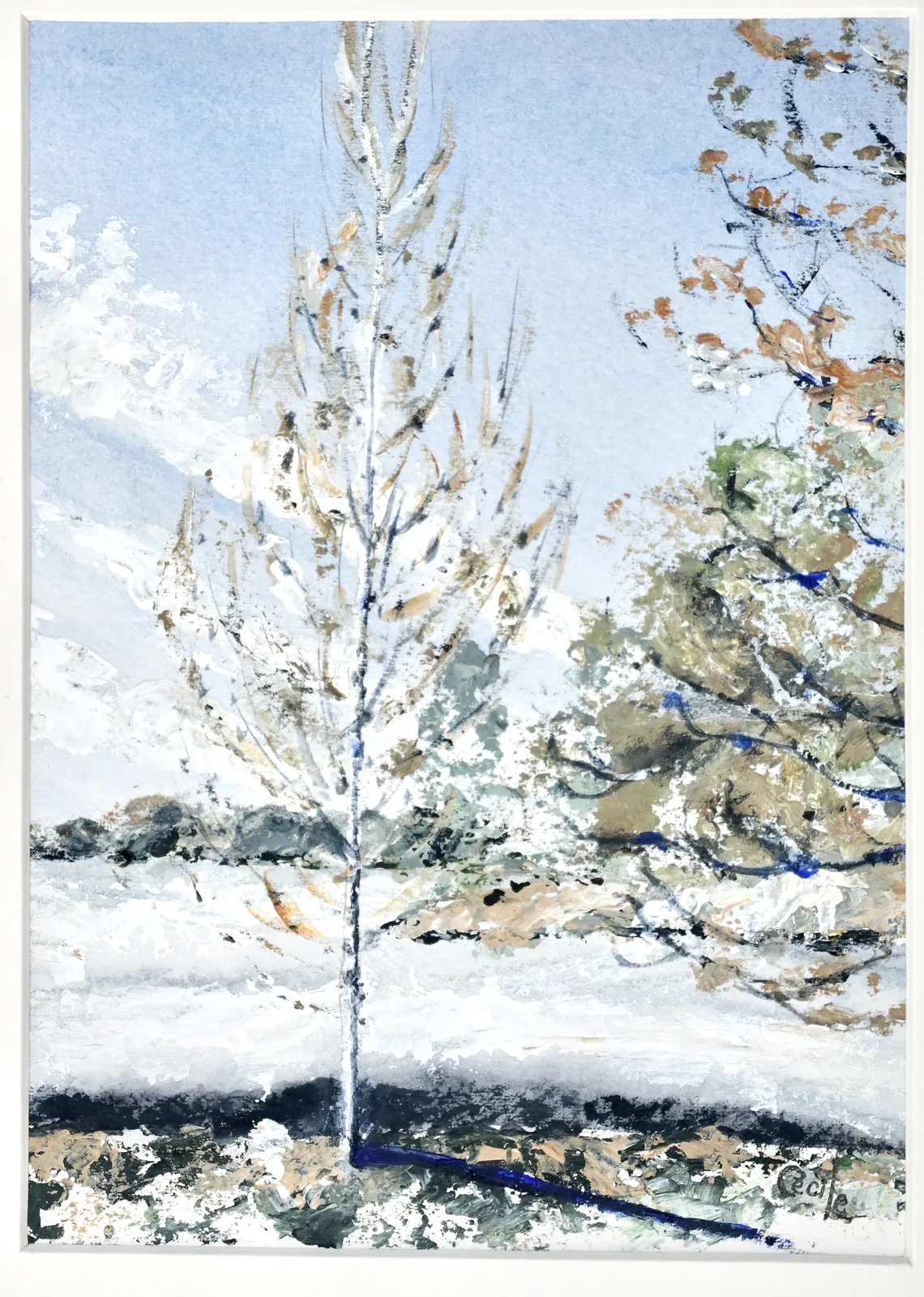 Akvarell Björken i Skärgården av Cécile Hansson