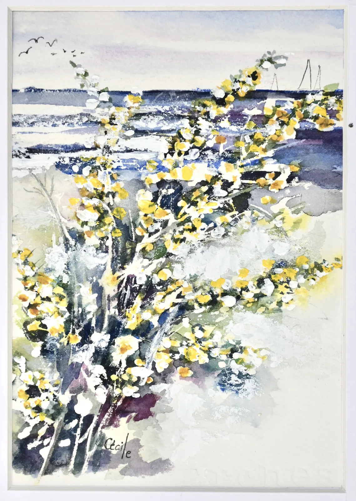 Akvarell Forsythia, Skärgården av Cécile Hansson