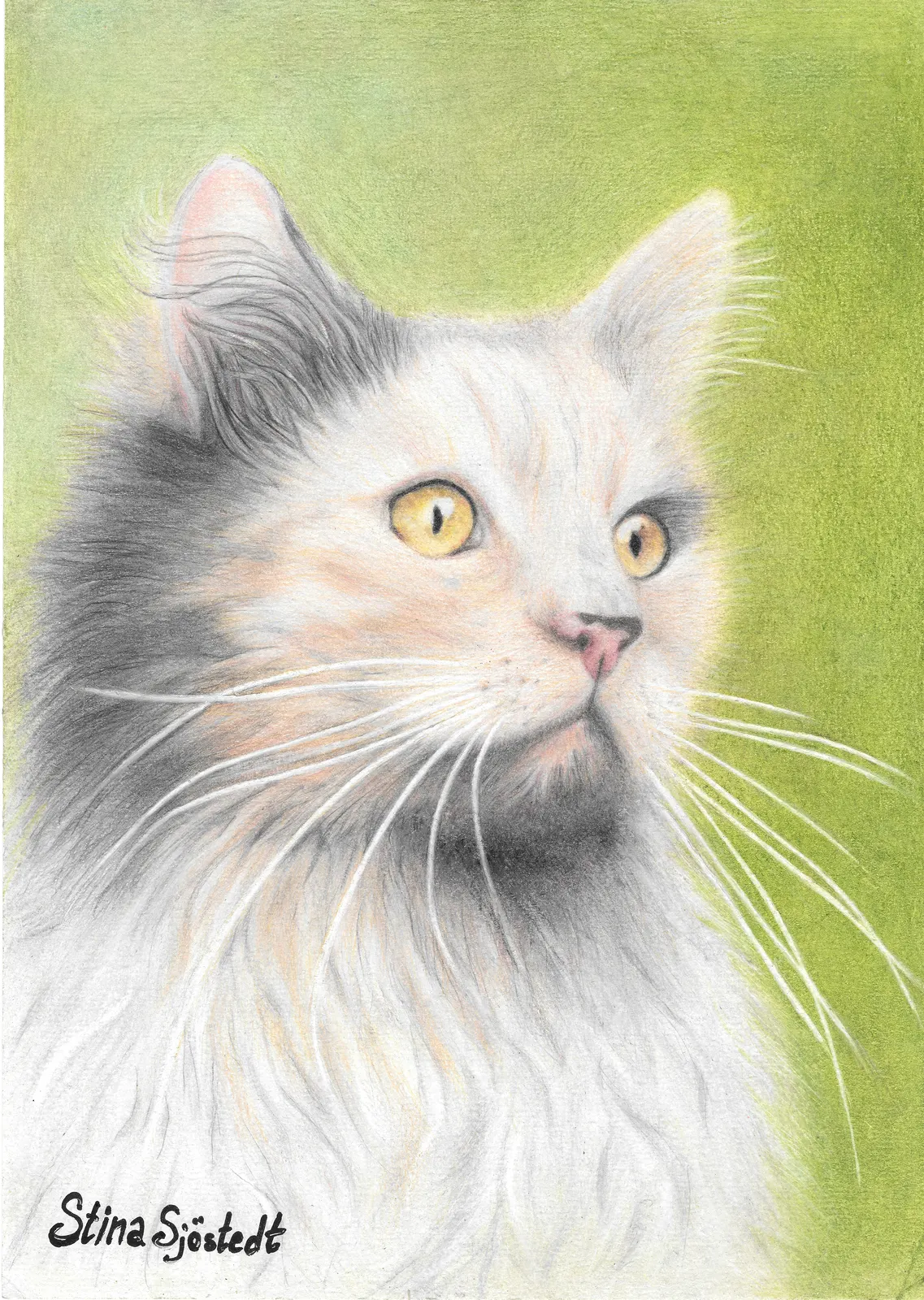 Blenda-porträtt av Stina Sjöstedt