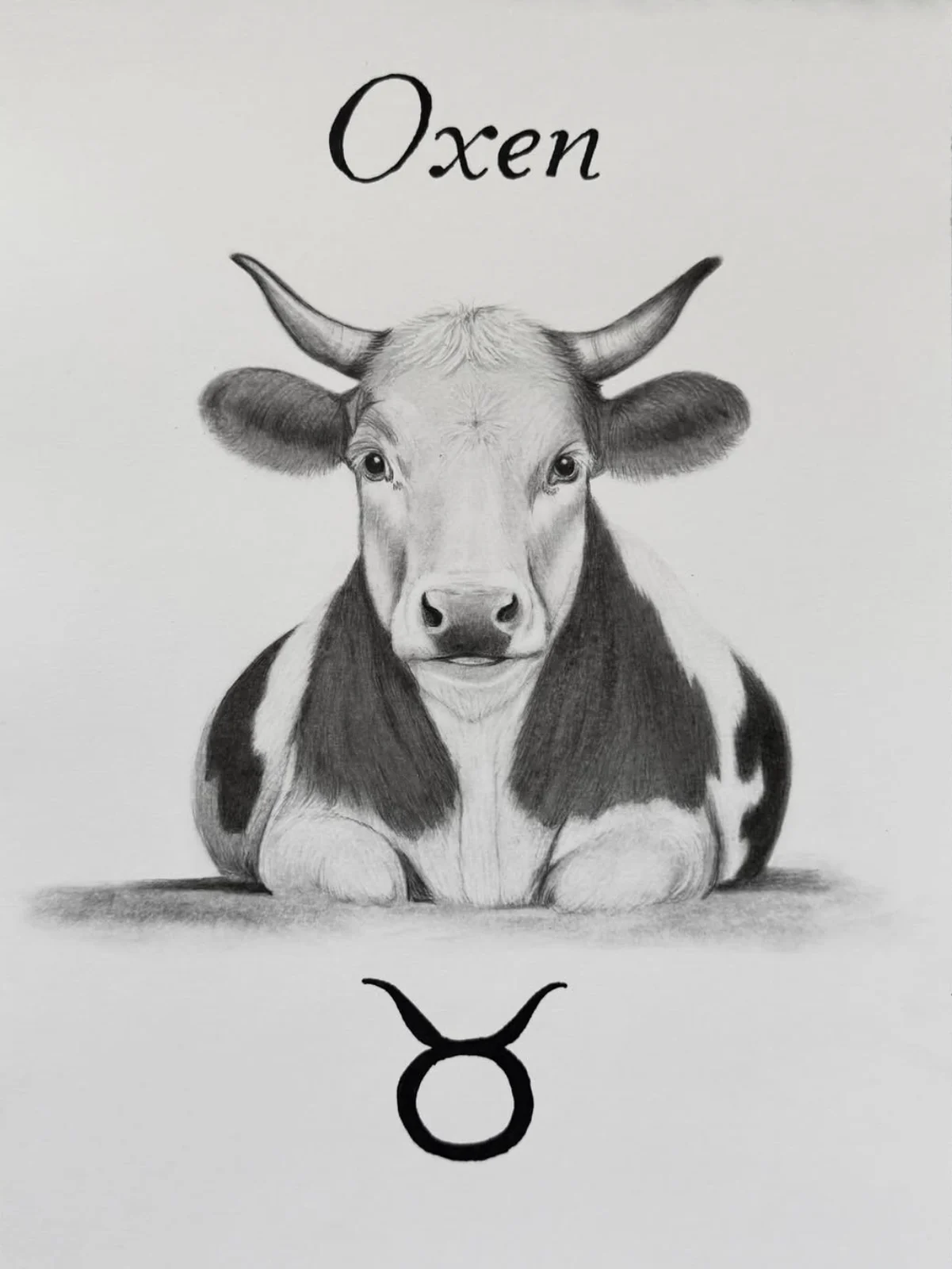 Stjärntecknet oxen av Nina Ringbom