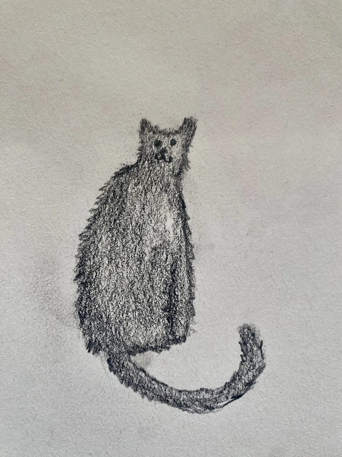 Katt av Idunn Ligander