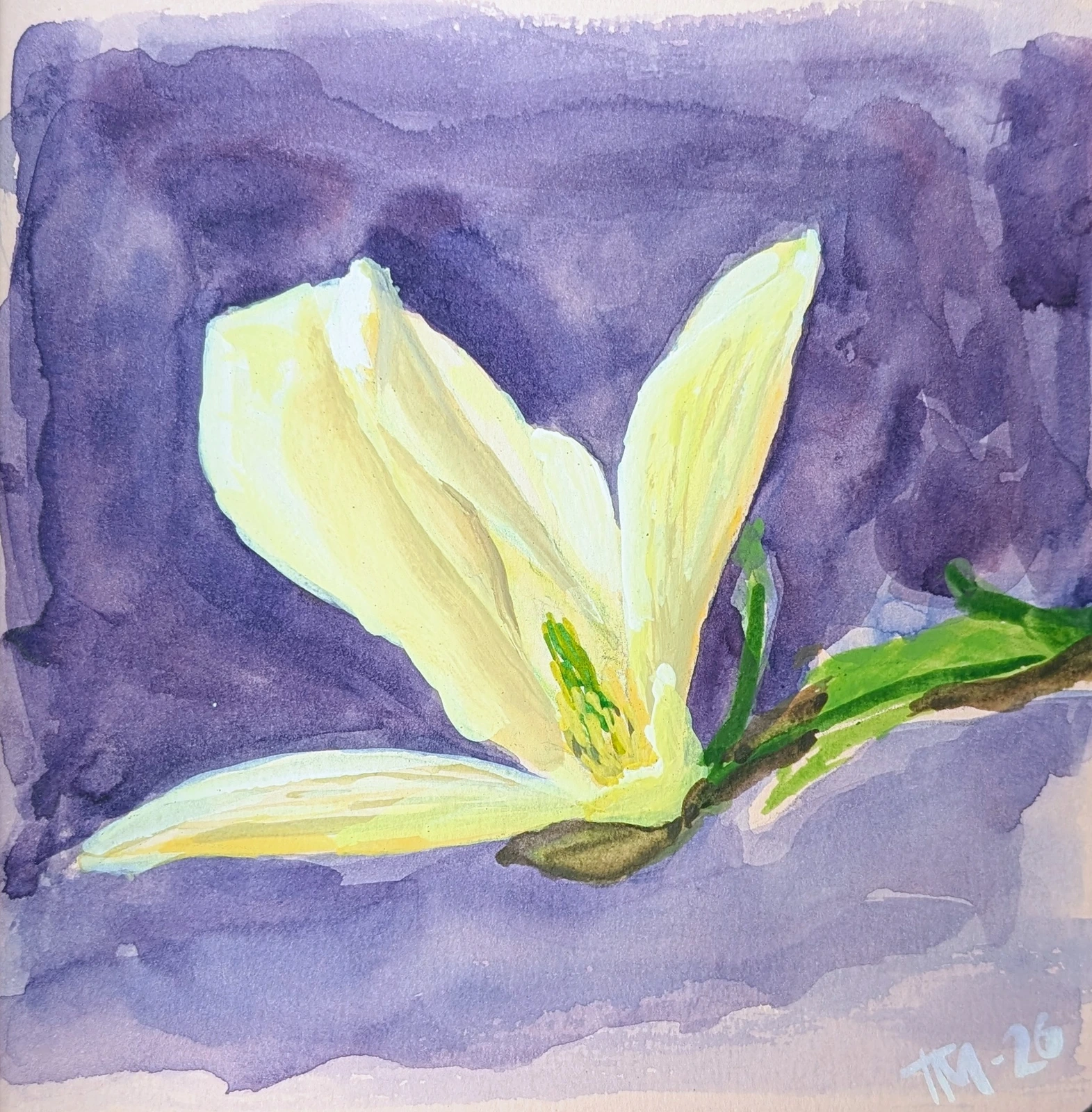 Akvarell Gul magnolia av Timofey Makoveychuk