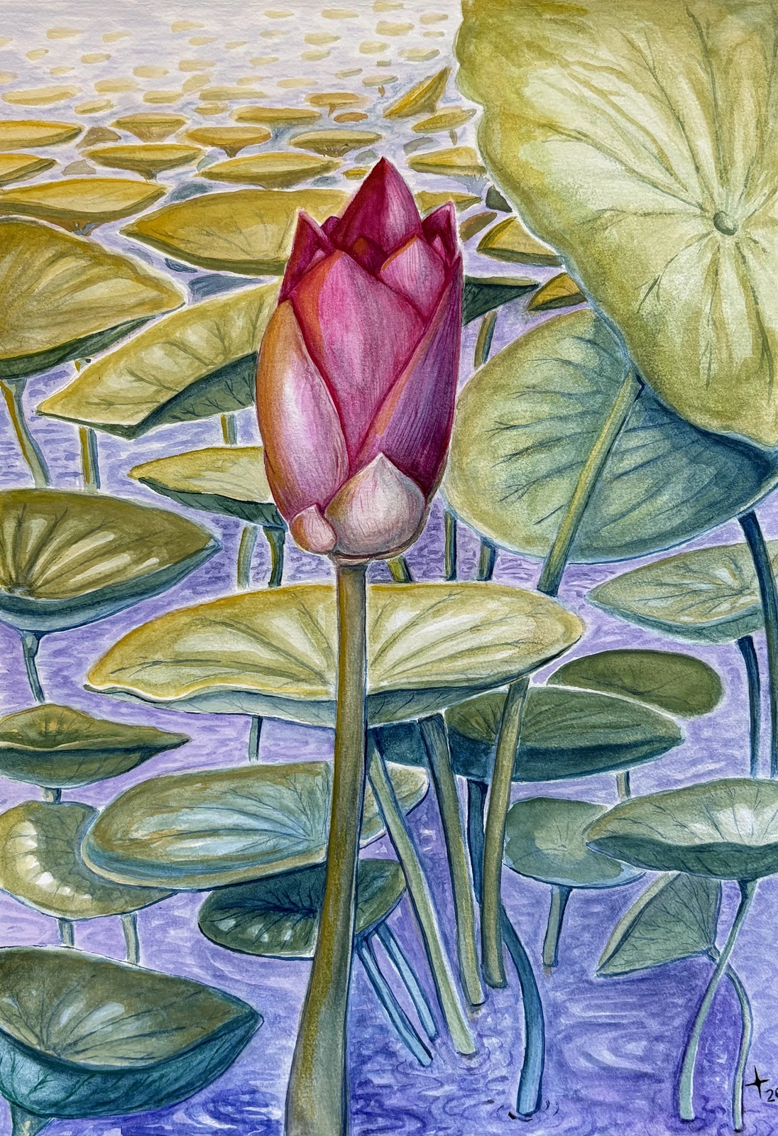 Akvarell Morning lotus av Isabella Thorsell