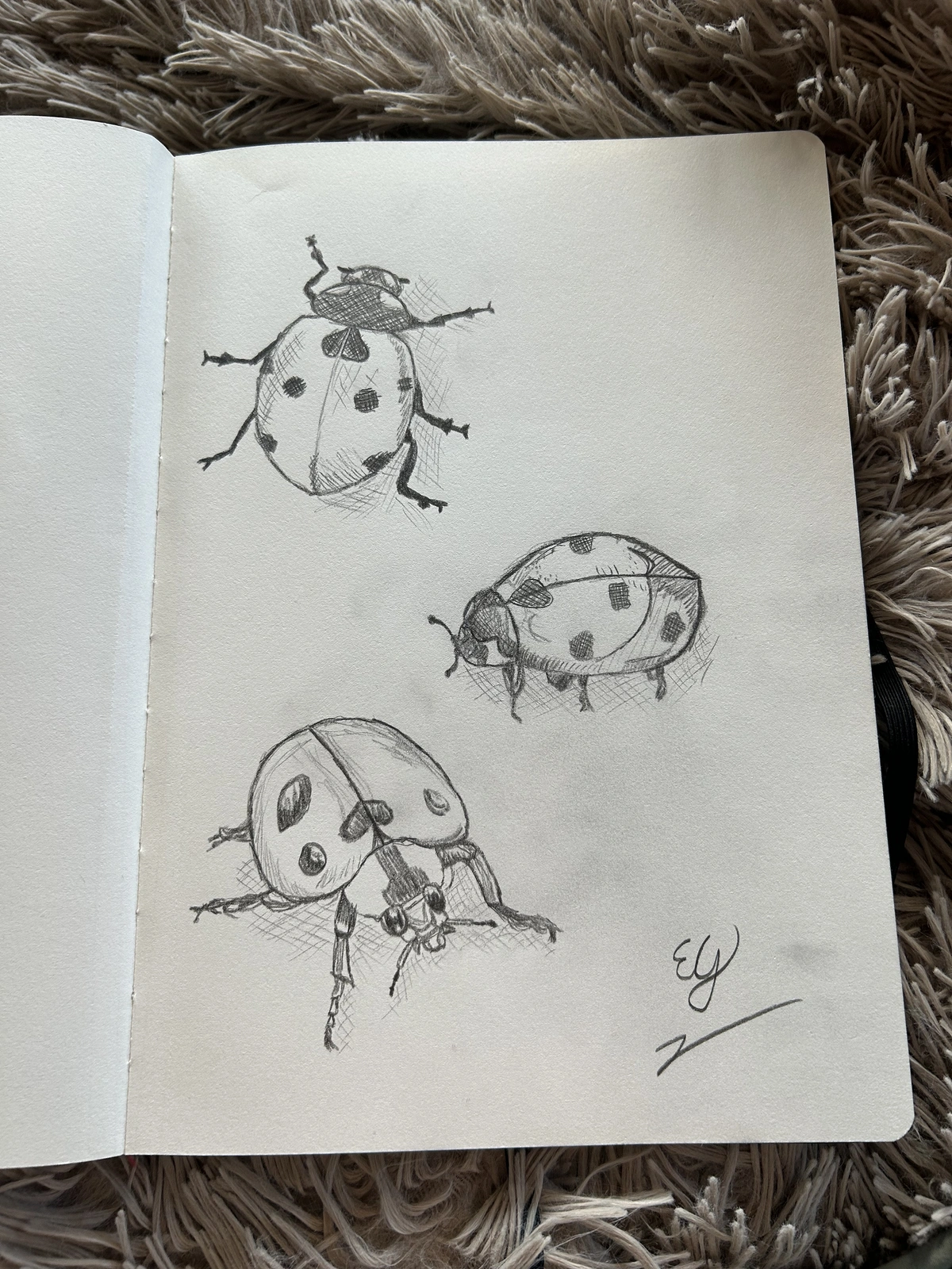 Ladybugs av Ellen Giertz