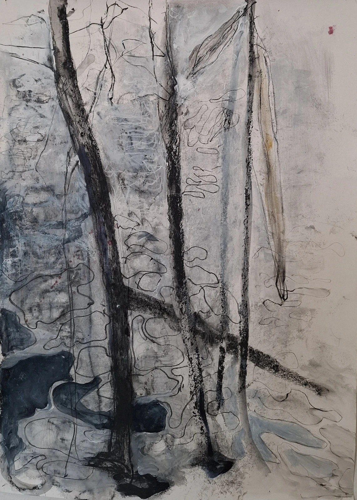 Isvinter av Eva Harrie