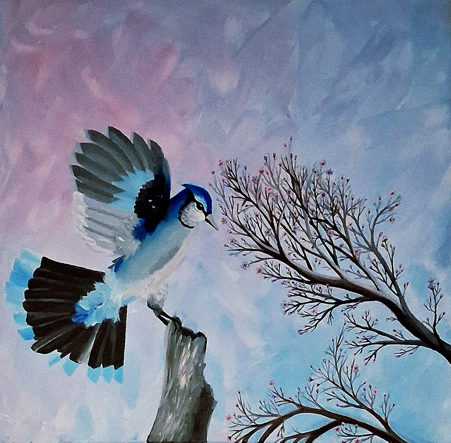 Shailin Palin