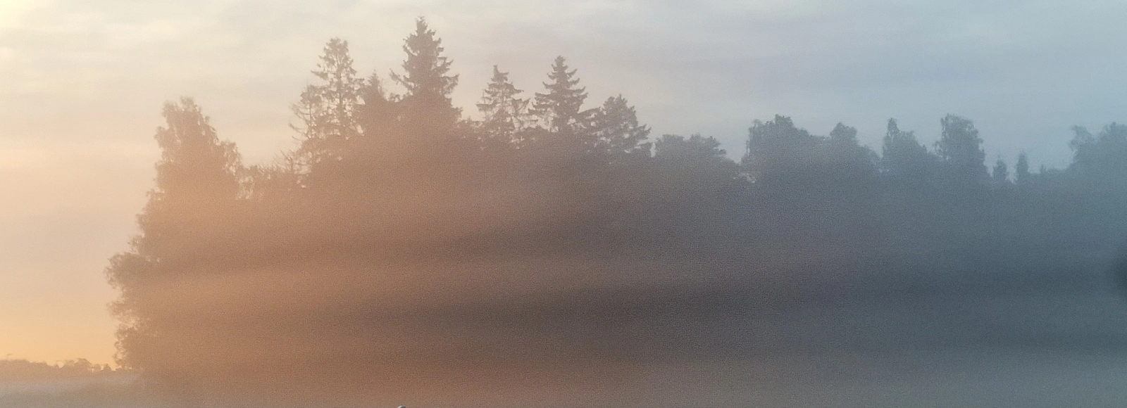 Early morning light av Johanna Hertzberg