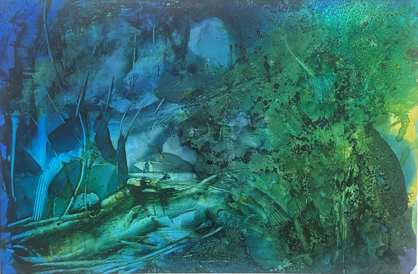 Nocturnal light av Ann-Charlotte Ahlin