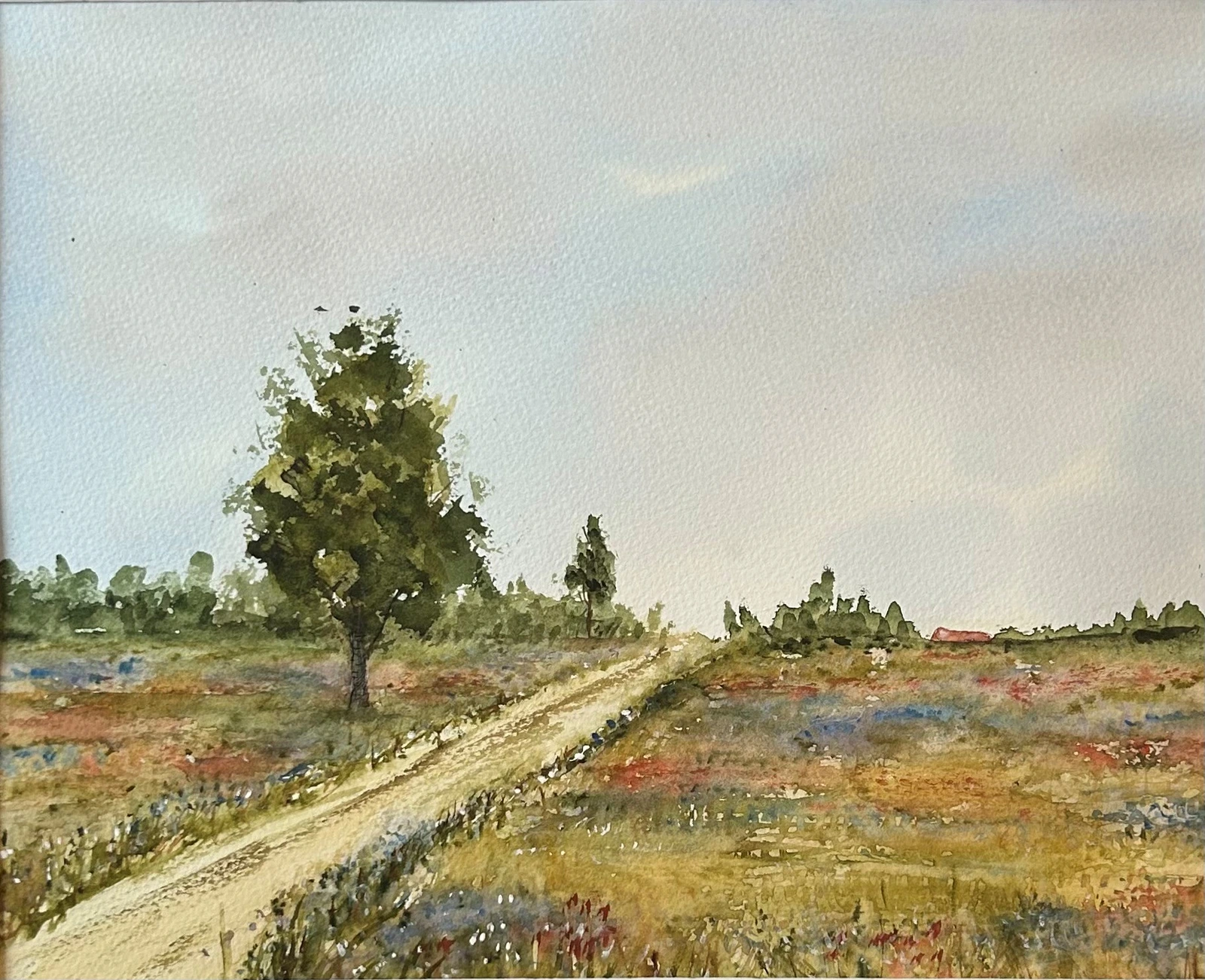 Akvarell Sommaräng av Ann-Charlotte Ahlin