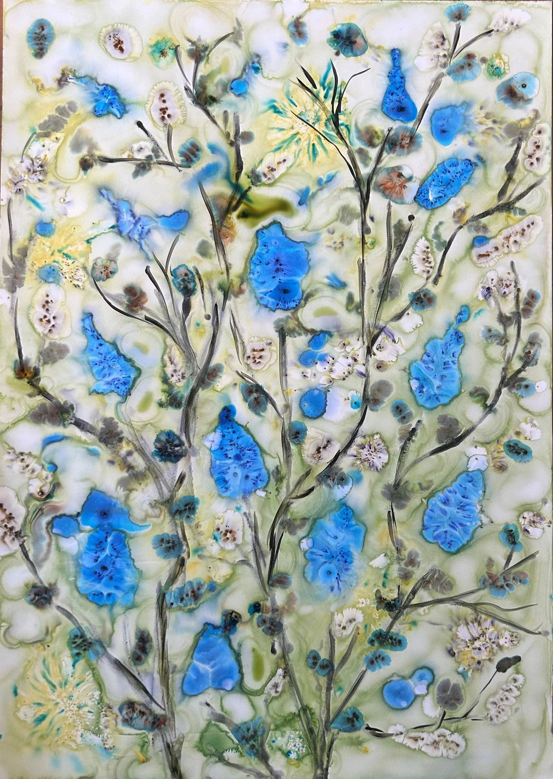 Ann-Charlotte Ahlin