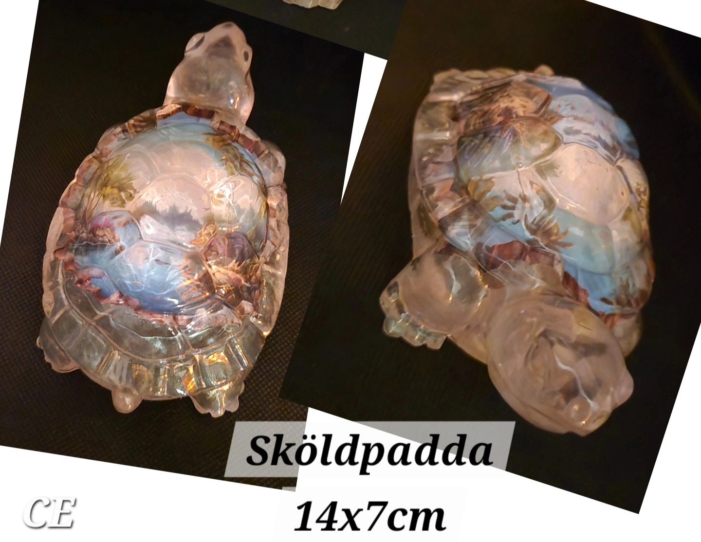 Sköldpadda av Cim Enkulls