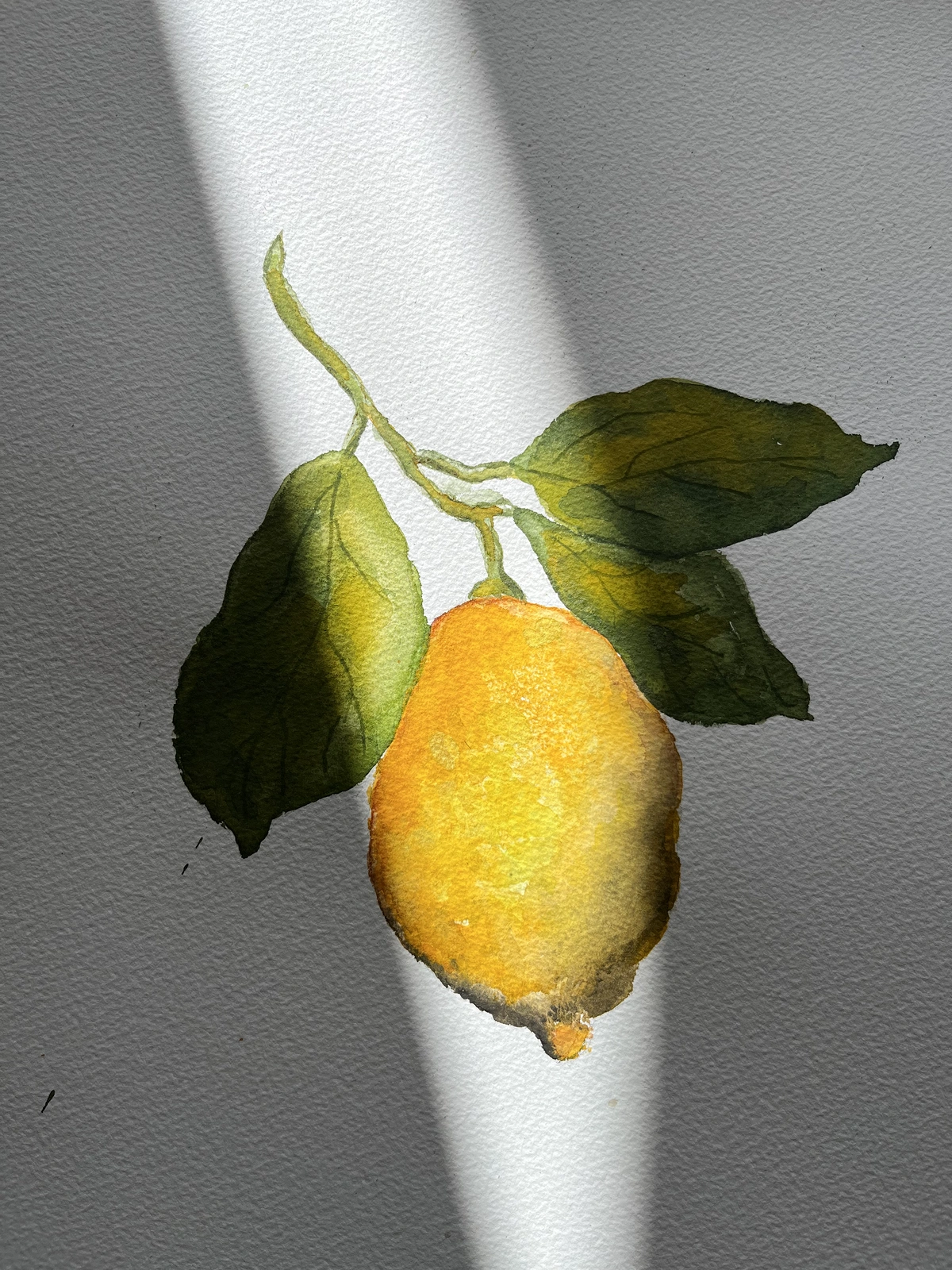 Akvarell Sunlit lemon av Barbara Månsson