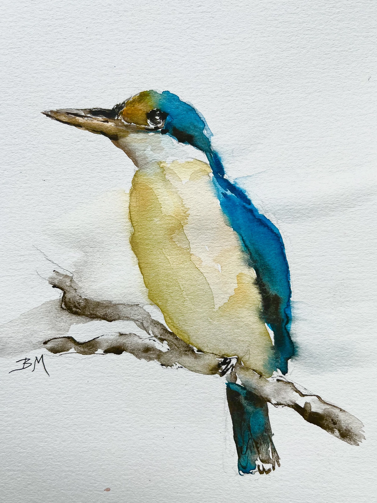 Akvarell From my Australian bird series av Barbara Månsson