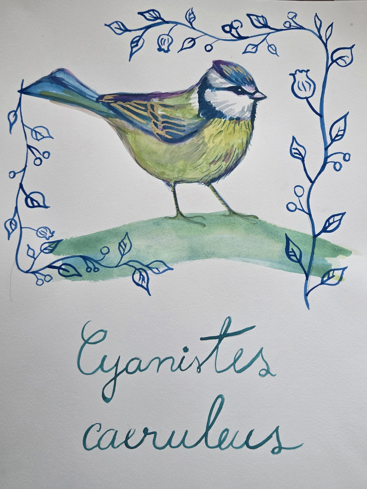 Akvarell Cyanistes caeruleus av Cristina Stef