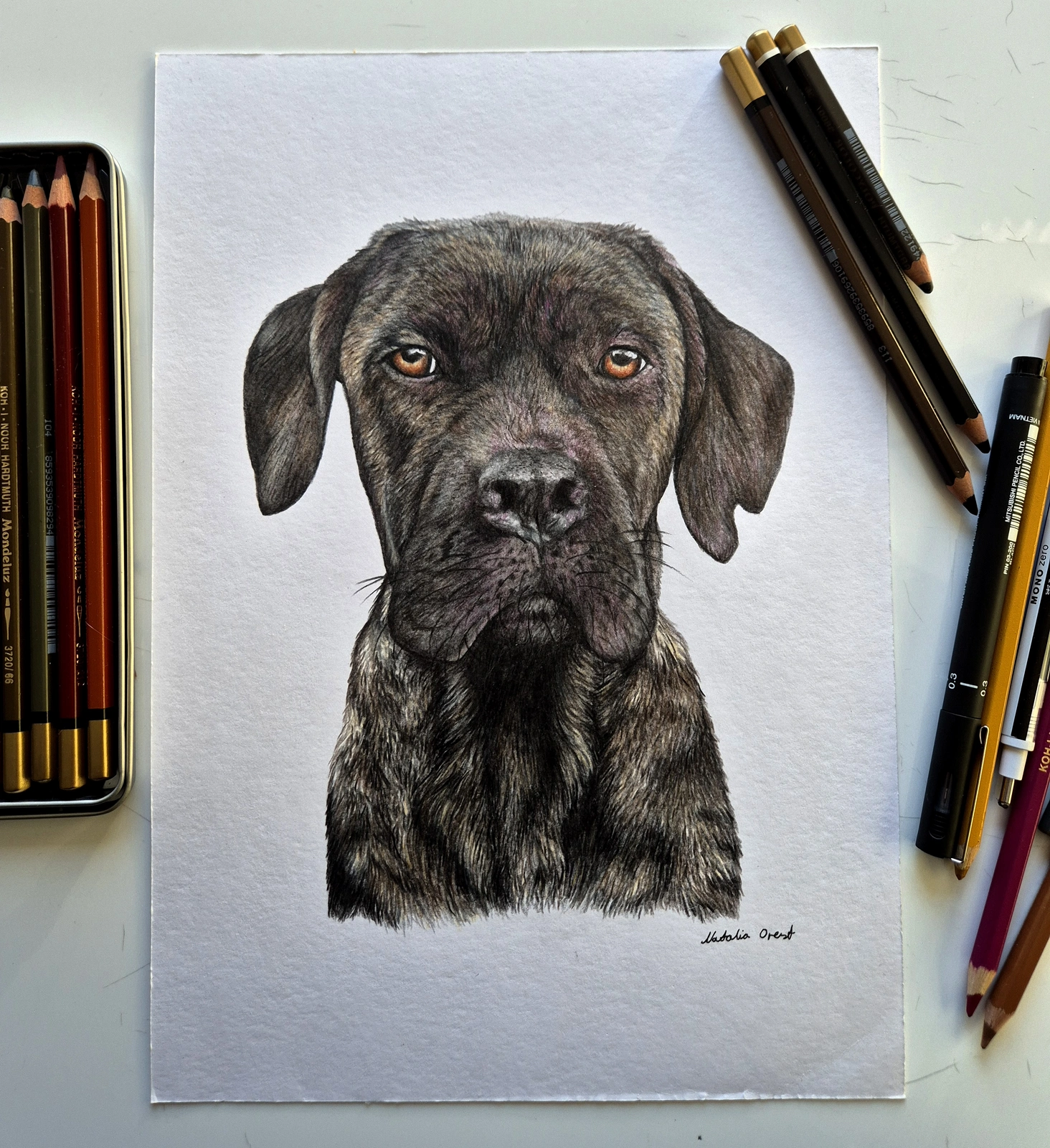 Portrait Colored pencils av Natalia Orest