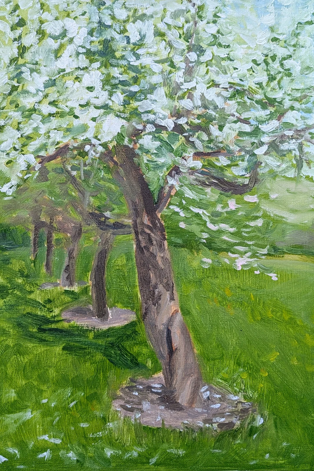 Oljemålning Blooming pear av Timofey Makoveychuk