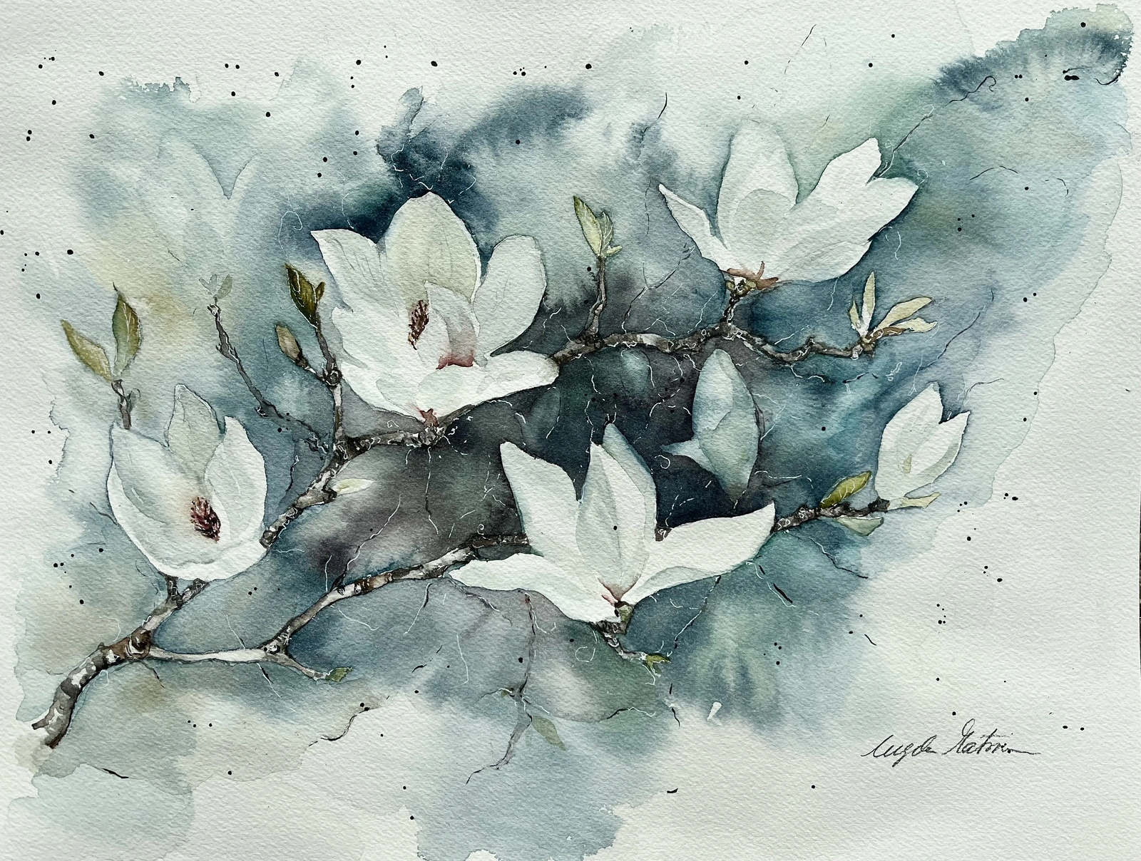Akvarell Magnolia av Ingela Matsson