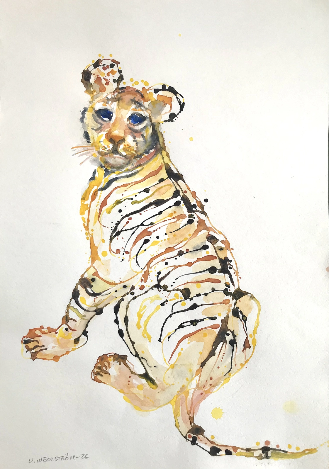 Akvarell Tigerunge. av Ulla Weckström