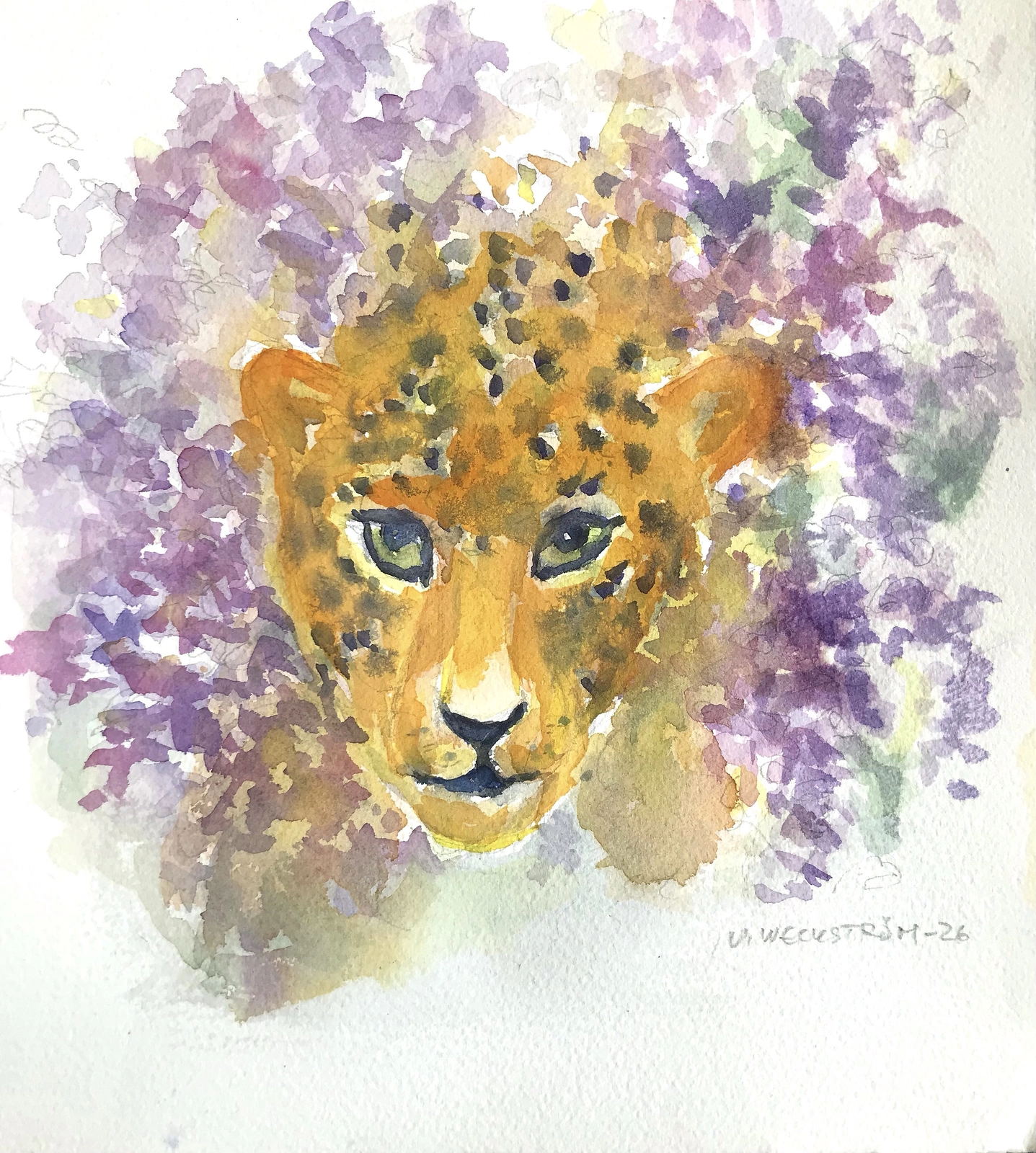 Akvarell Mamma! En leopard i syrenbusken! av Ulla Weckström