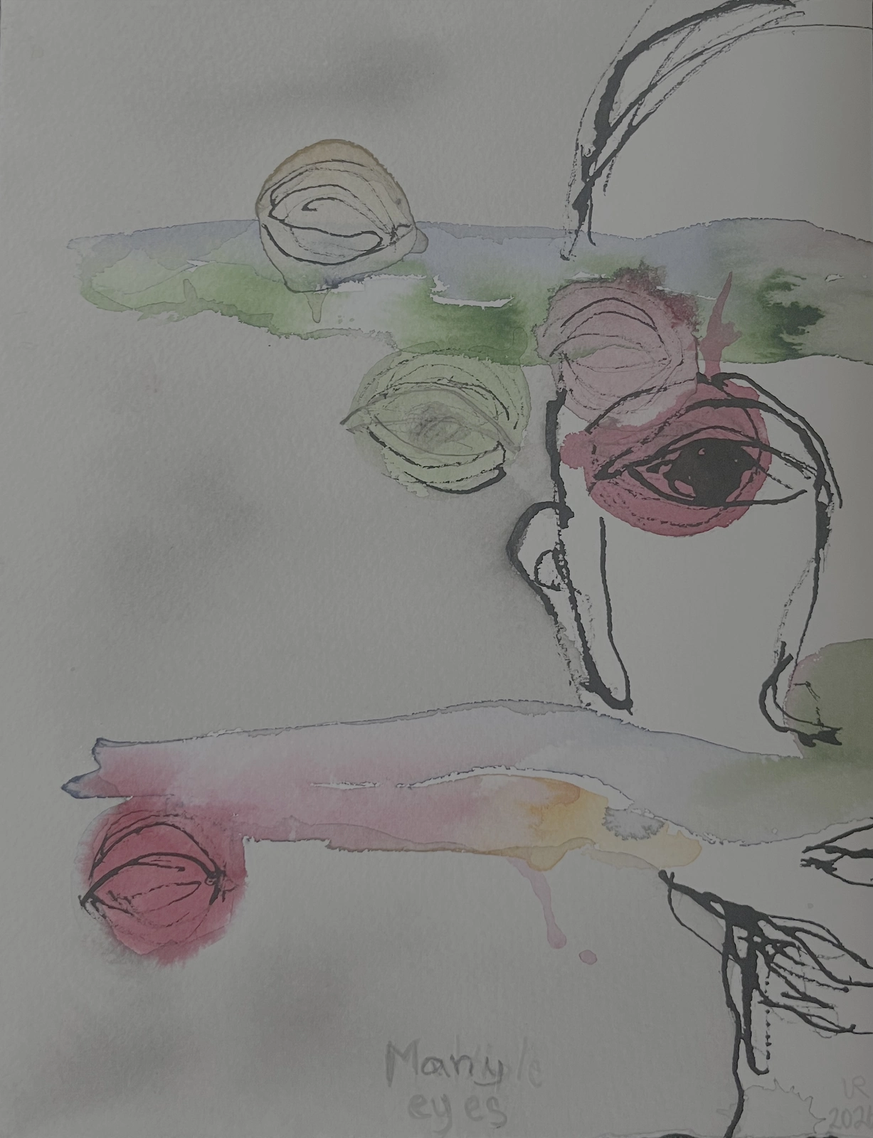 Many eyes av Ulla Eva