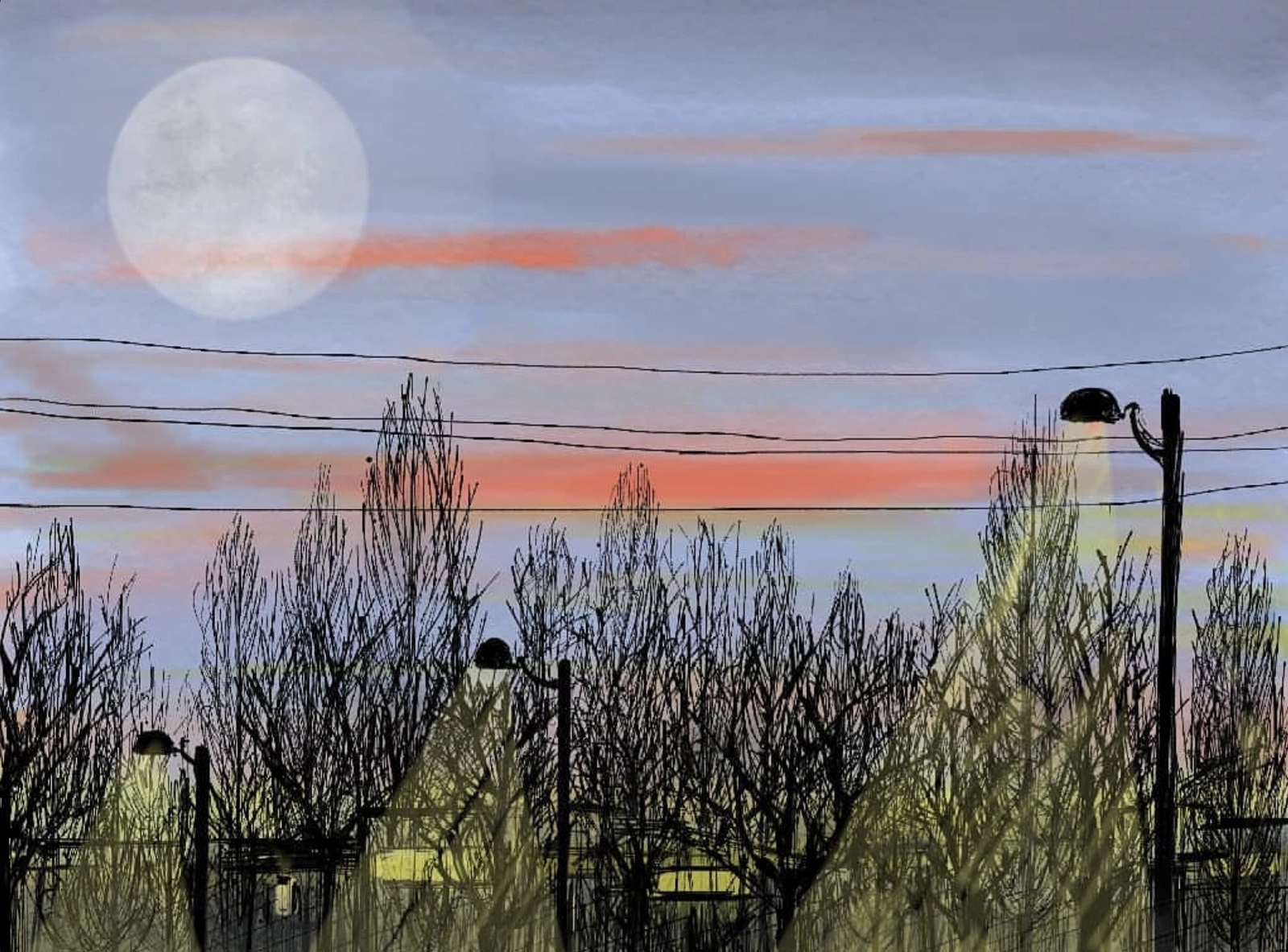 Evening lights av Mahtab Hosseinalizadehshalmani