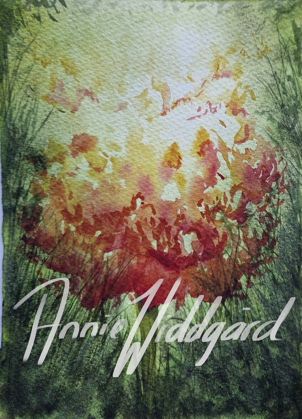 Akvarell Våreld av Annie Widdgård