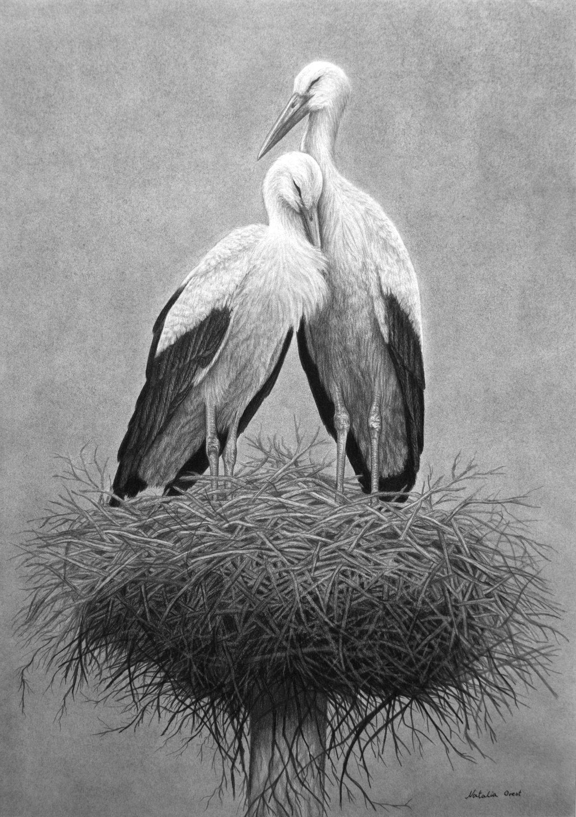 Home, At Last av Natalia Orest
