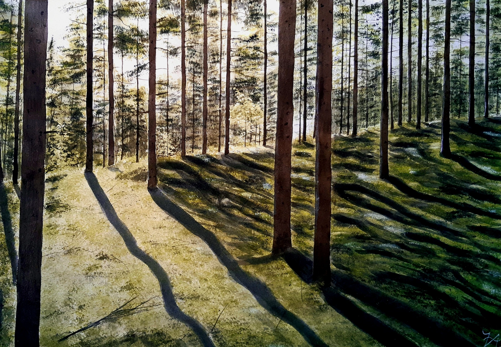 Akvarell Morgonljus i skogen av Victor Andersson
