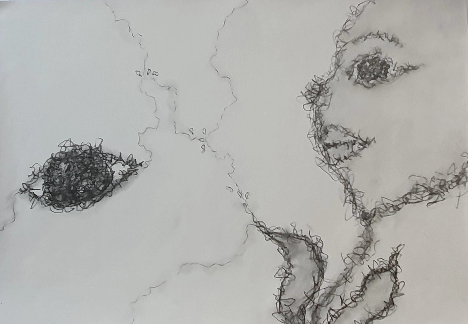 When thoughts wander av Maria Tyni Nilsson