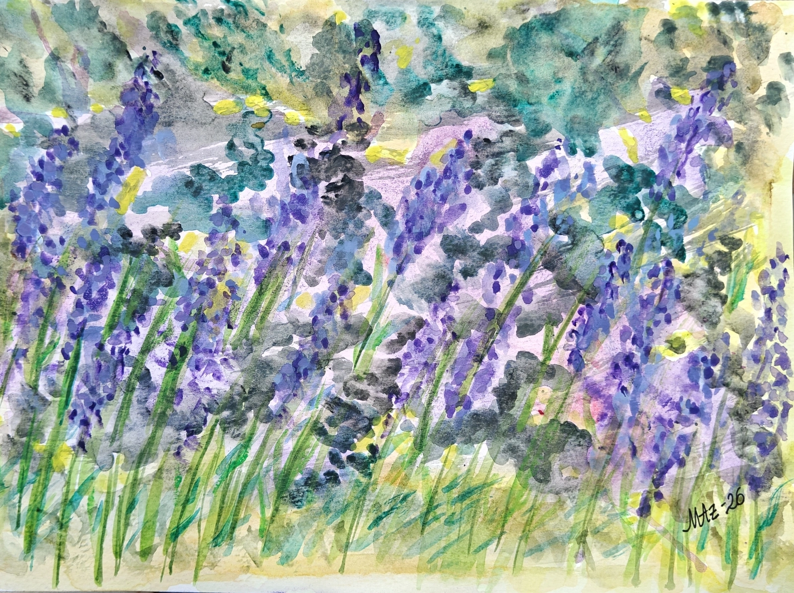 Akvarell Lavendel av Maria Anderzén