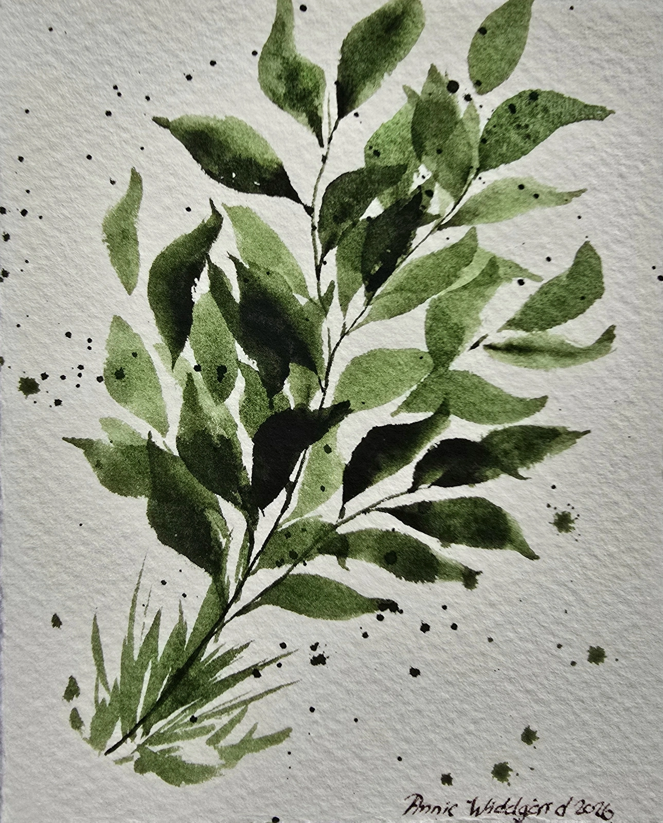 Akvarell Foliage 1 av Annie Widdgård