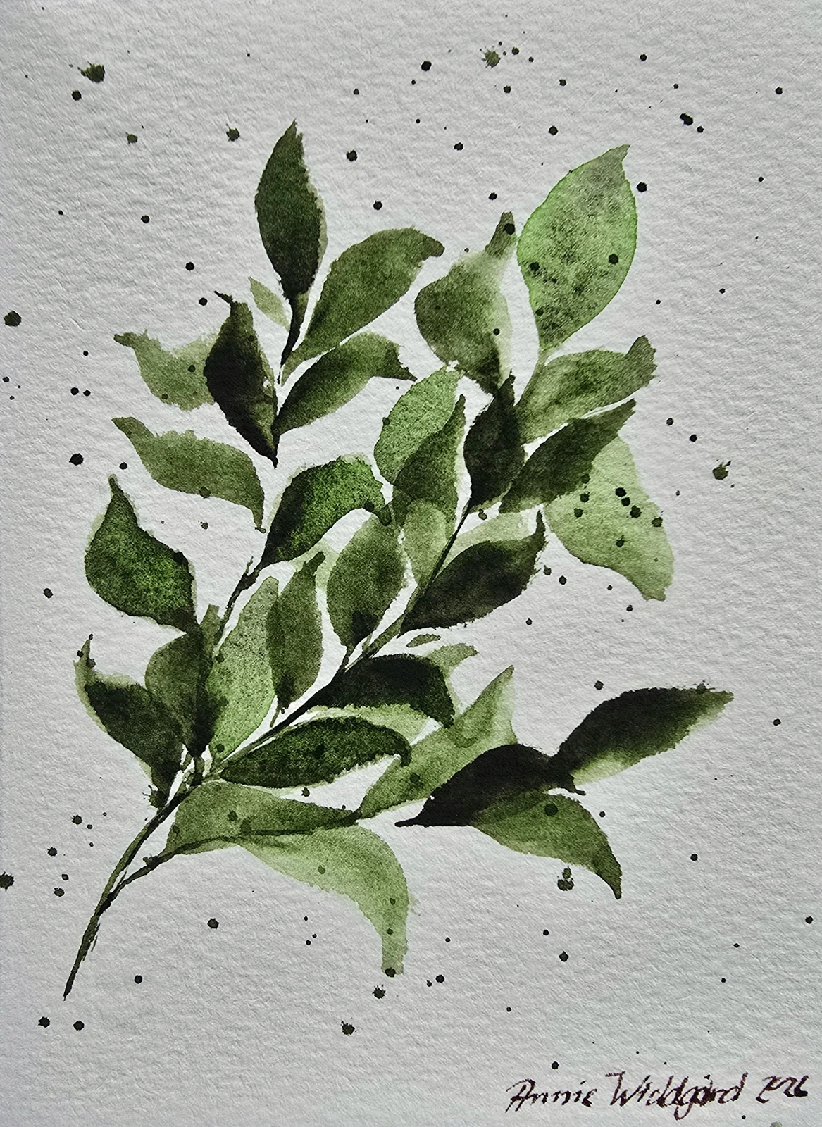 Akvarell Foliage 2 av Annie Widdgård