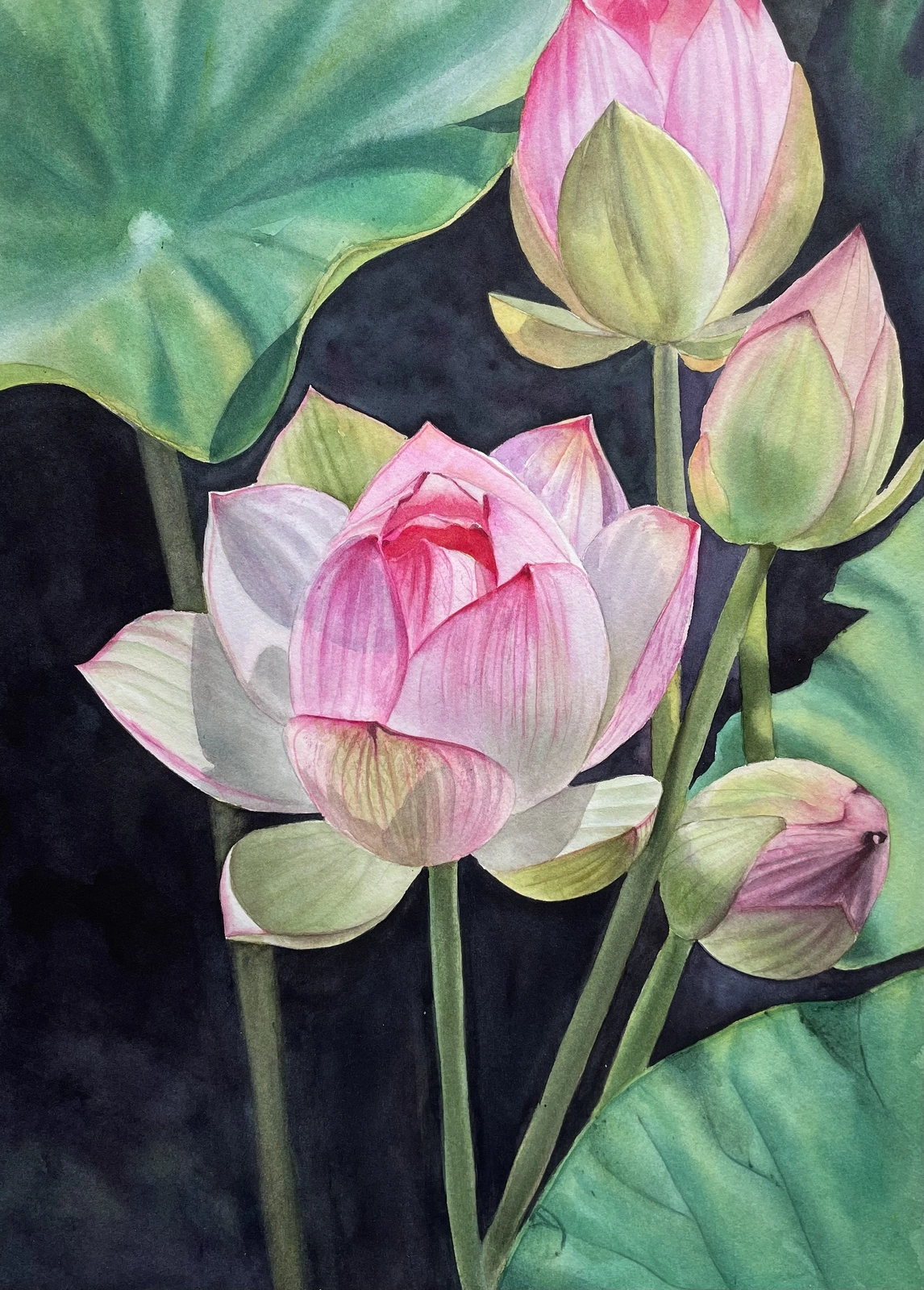 Akvarell Lotus av Valida Jarmetova
