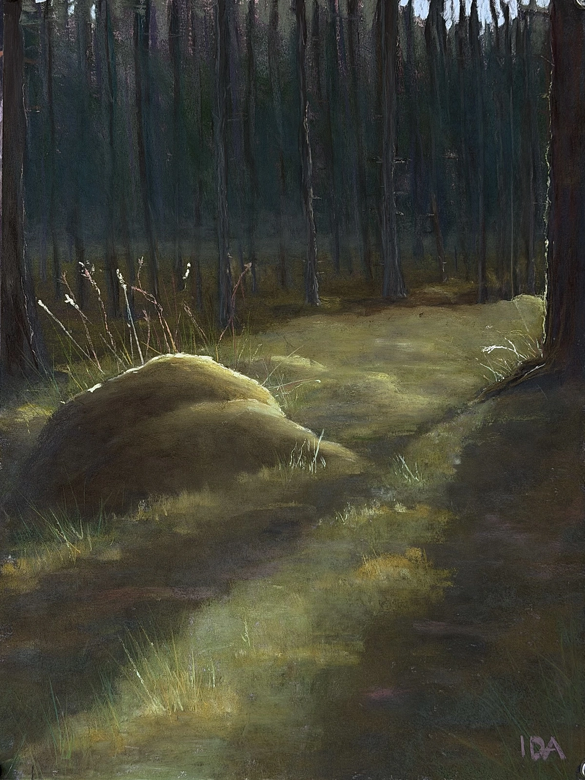 Skogsgläntan av Ida Söderfjord
