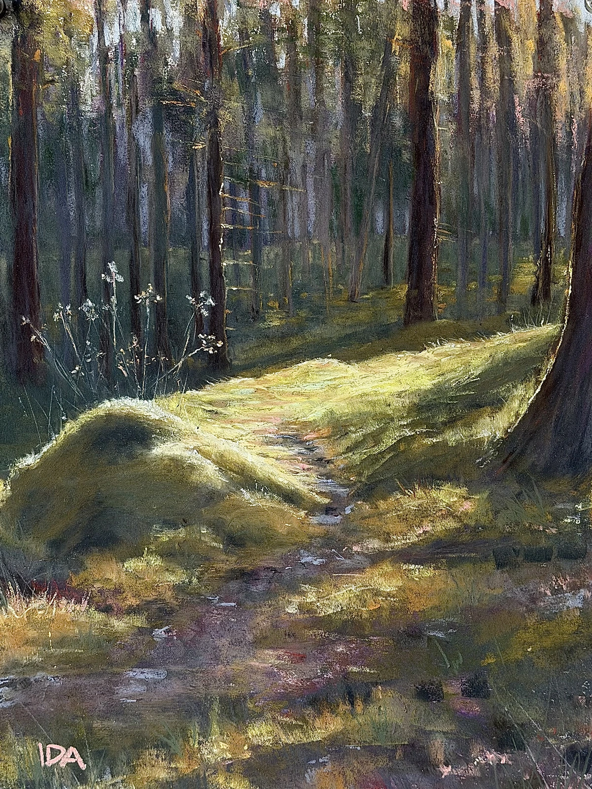 Skogsgläntan av Ida Söderfjord