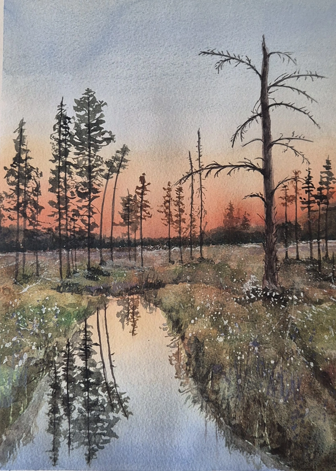 Akvarell Myren av Jan-Olof Atterfors