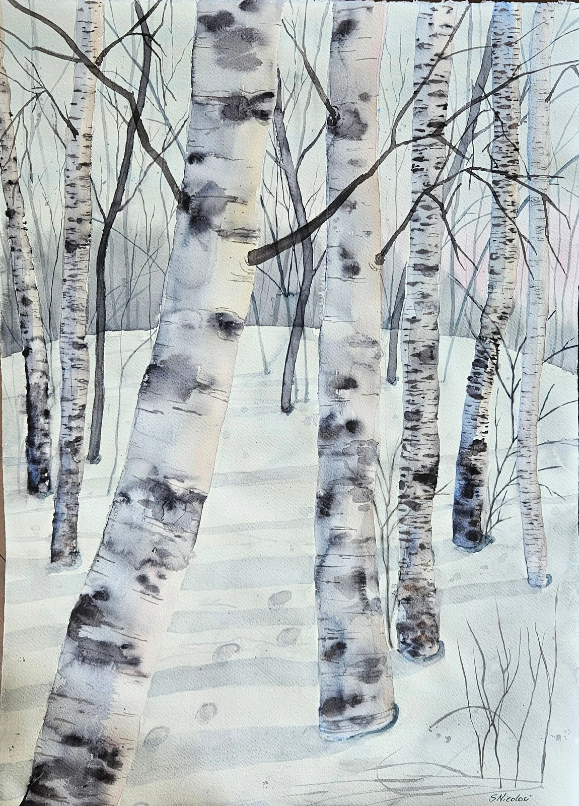 Akvarell Birch forest av Susanna Nicolosi