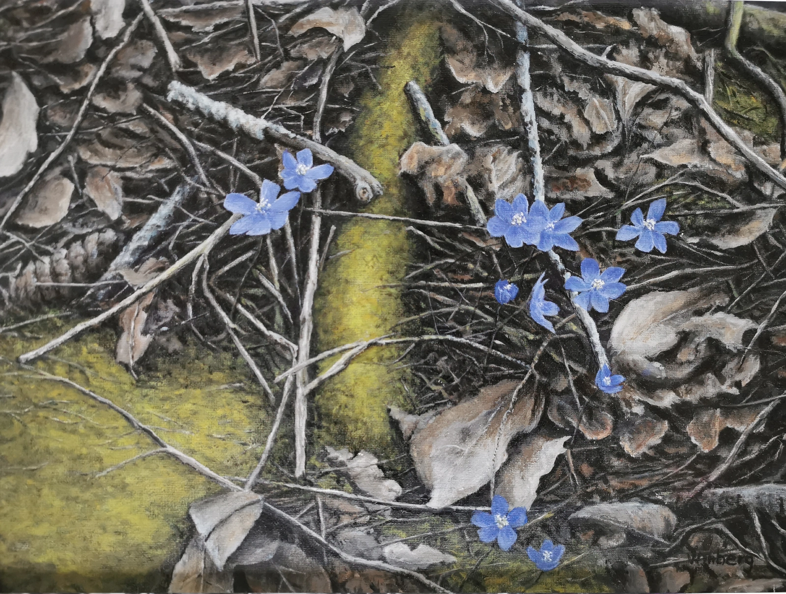 Oljemålning Hepatica av Peter Winberg