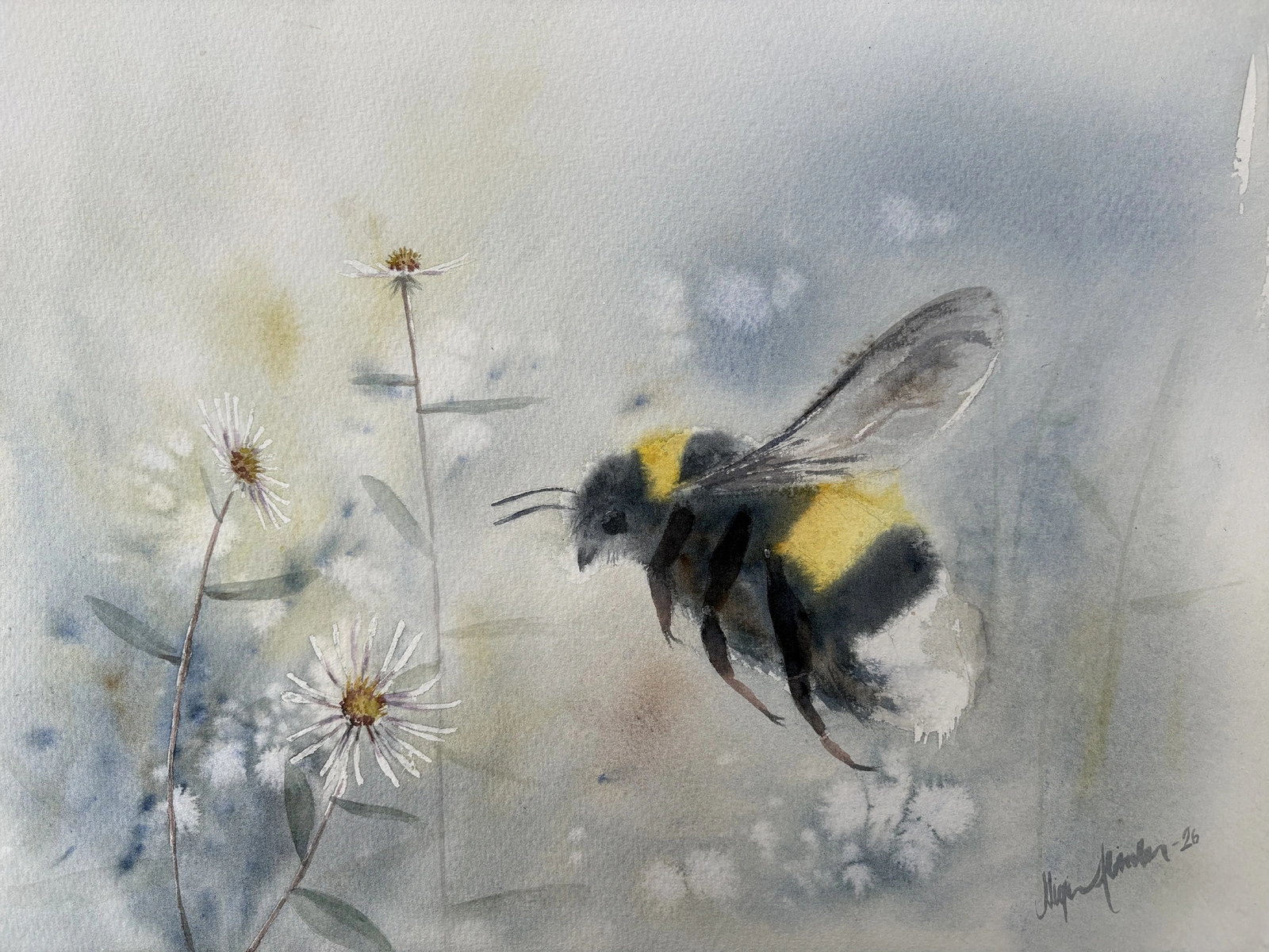 Mirjam Alinder