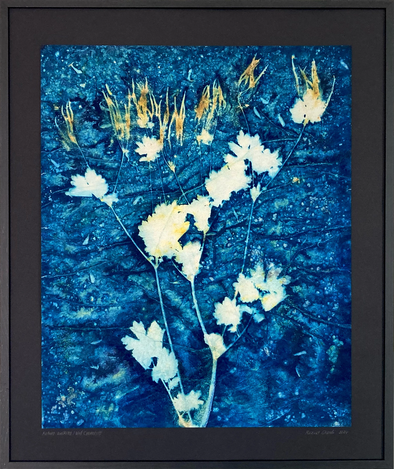 Nature walking av Maziar Ghandi