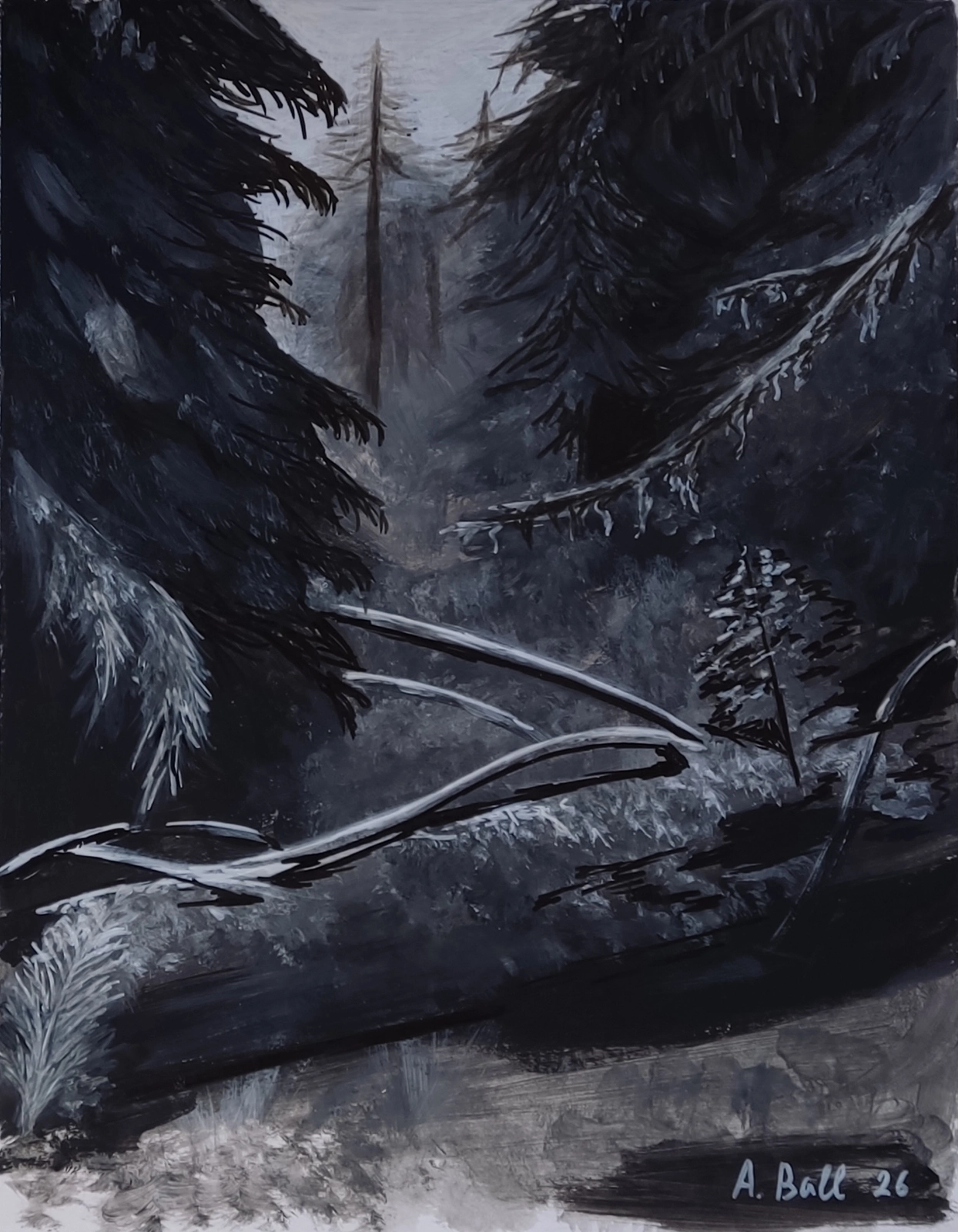 The Forest av Anastasia Ball