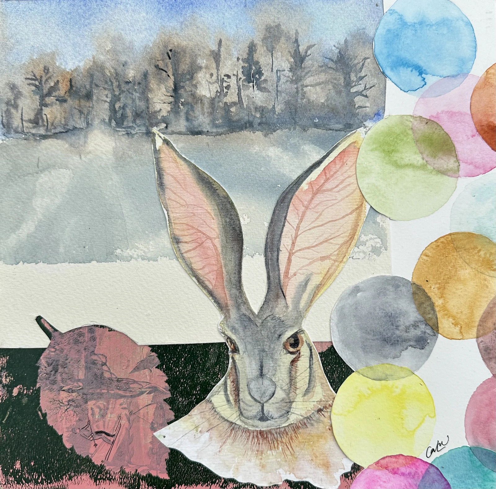 Akvarell Hare av Caroline Lundholm