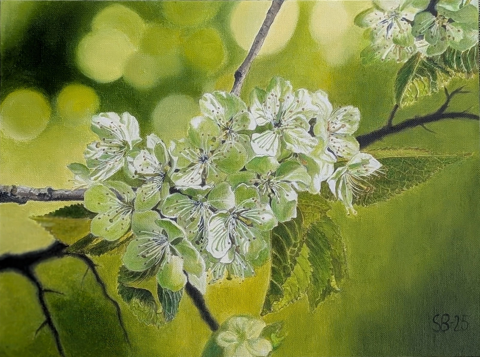 Oljemålning En kvist med päron blommor av Sofia Bexelius