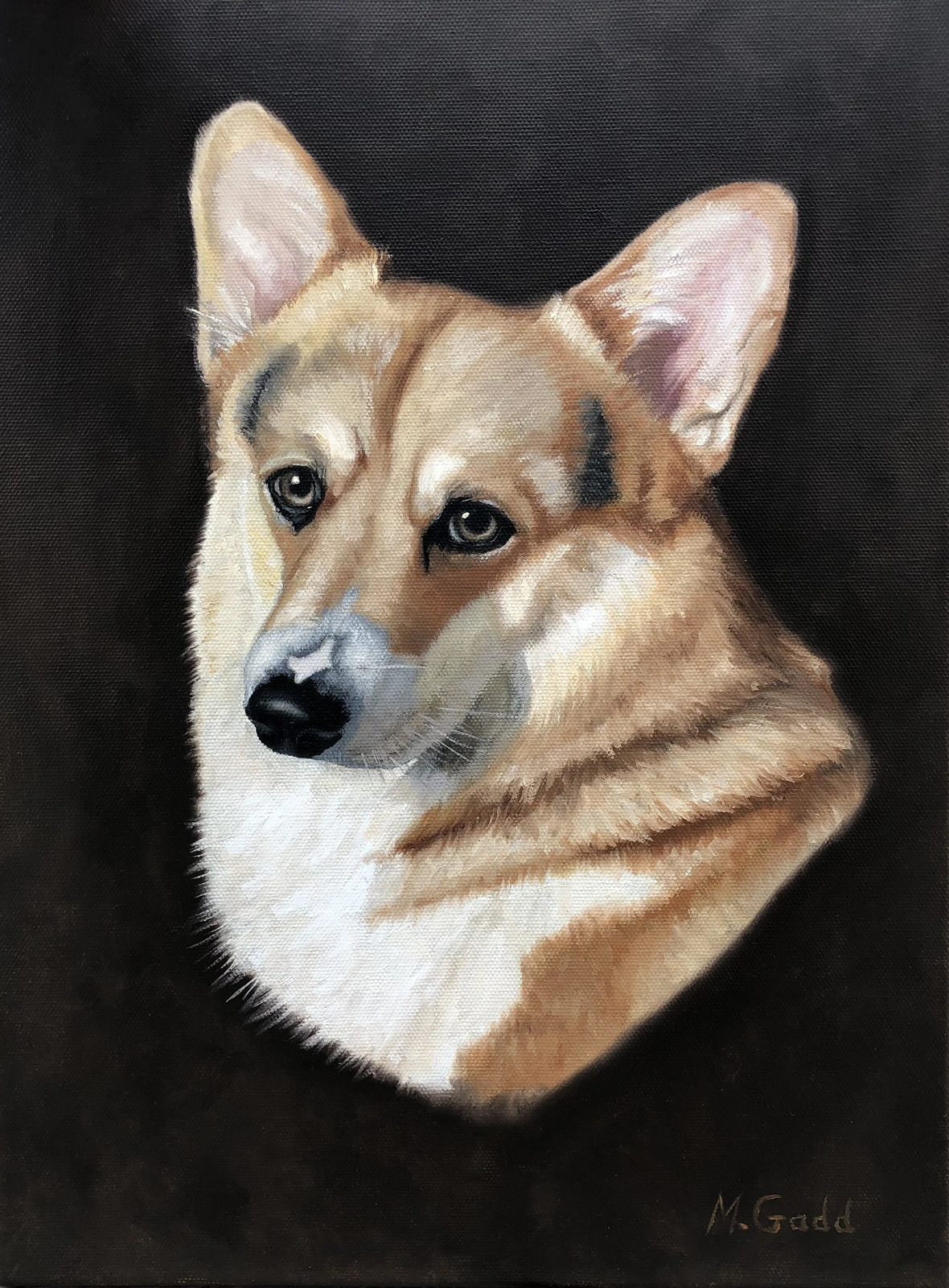 Oljemålning Hundporträtt Athos av Marie Gadd